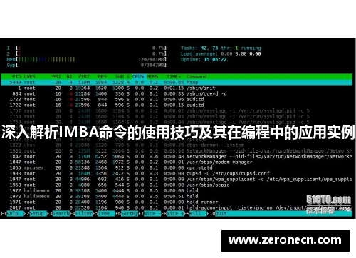深入解析IMBA命令的使用技巧及其在编程中的应用实例